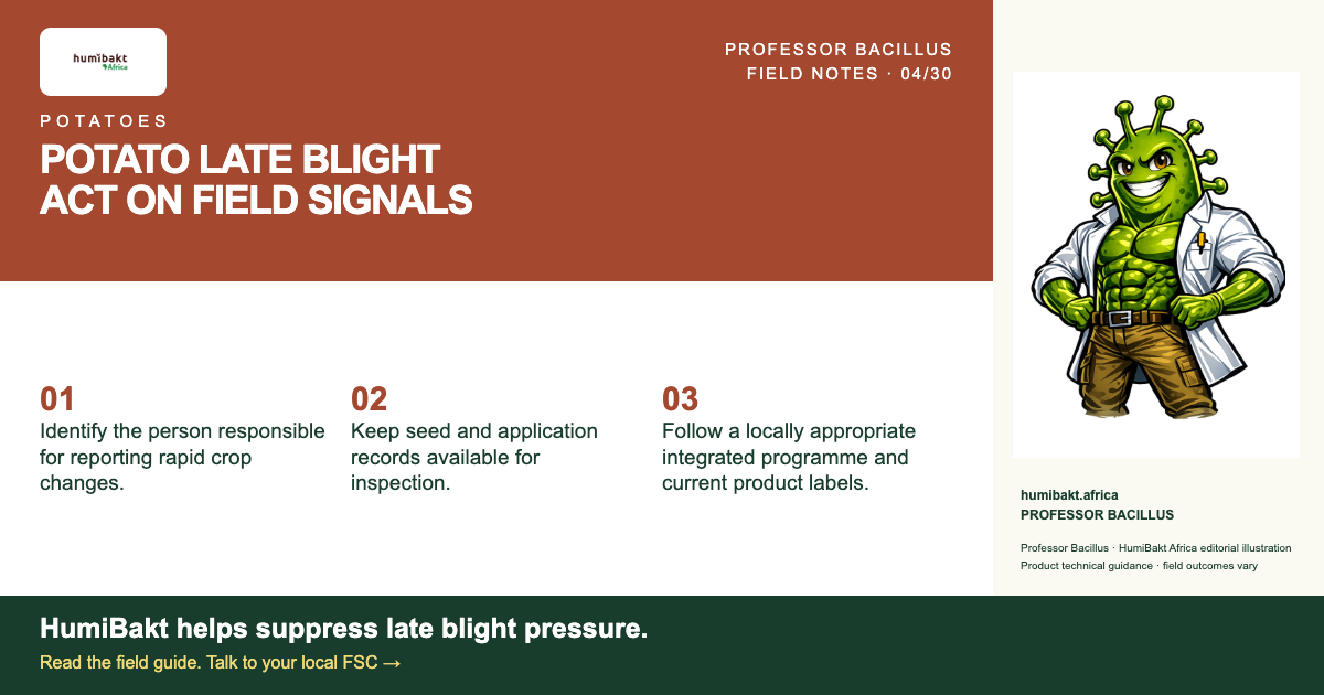 POTATO LATE BLIGHT: ACT ON FIELD SIGNALS. PROFESSOR BACILLUS with a practical field checklist.