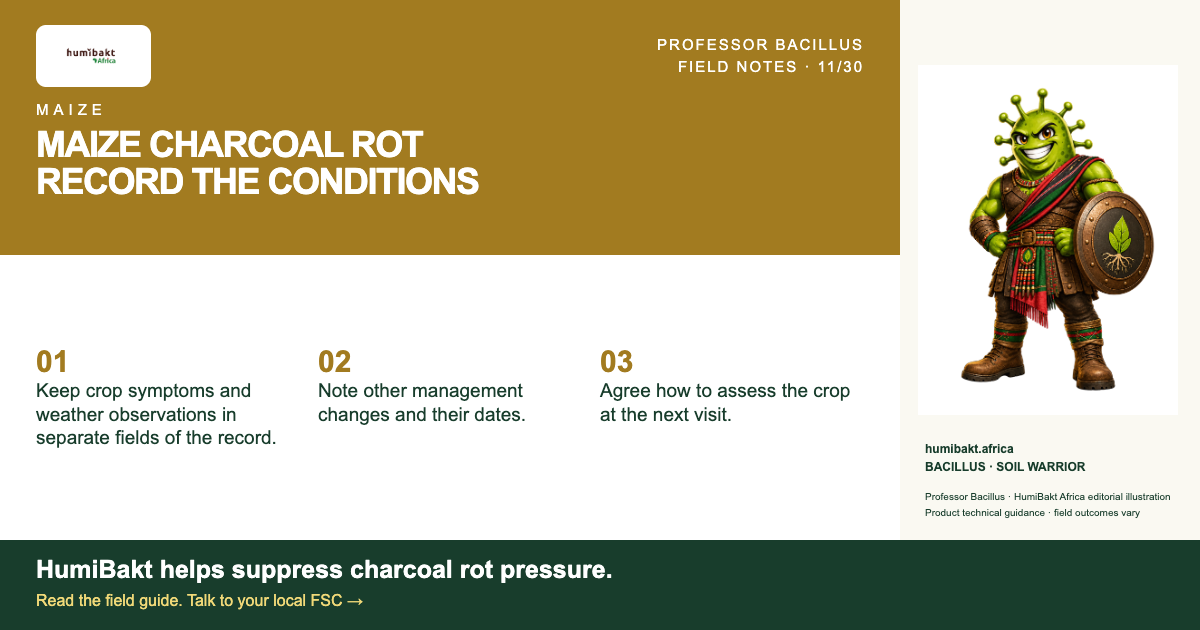 MAIZE CHARCOAL ROT: RECORD THE CONDITIONS. BACILLUS · SOIL WARRIOR with a practical field checklist.